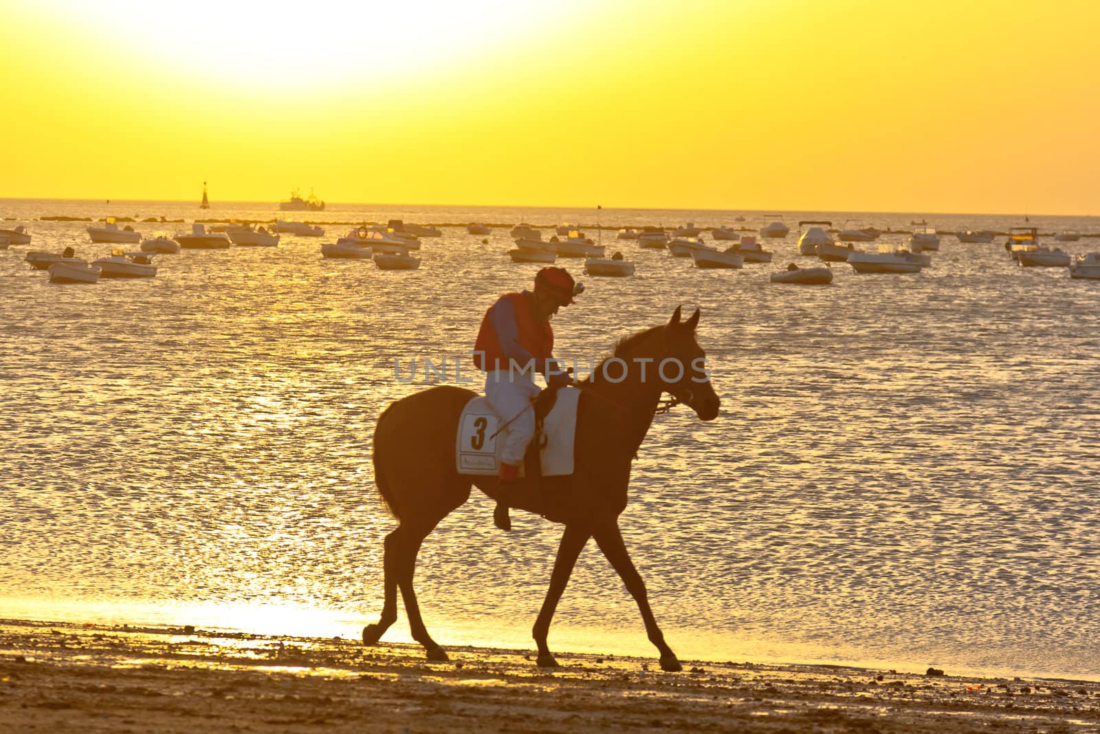 SANLUCAR DE BARRAMEDA, CADIZ, SPAIN - AUGUST 10: Unidentified riders at the start of race horses on Sanlucar de Barrameda beach on August 10, 2011 in Sanlucar de Barrameda, Cadiz, Spain.
