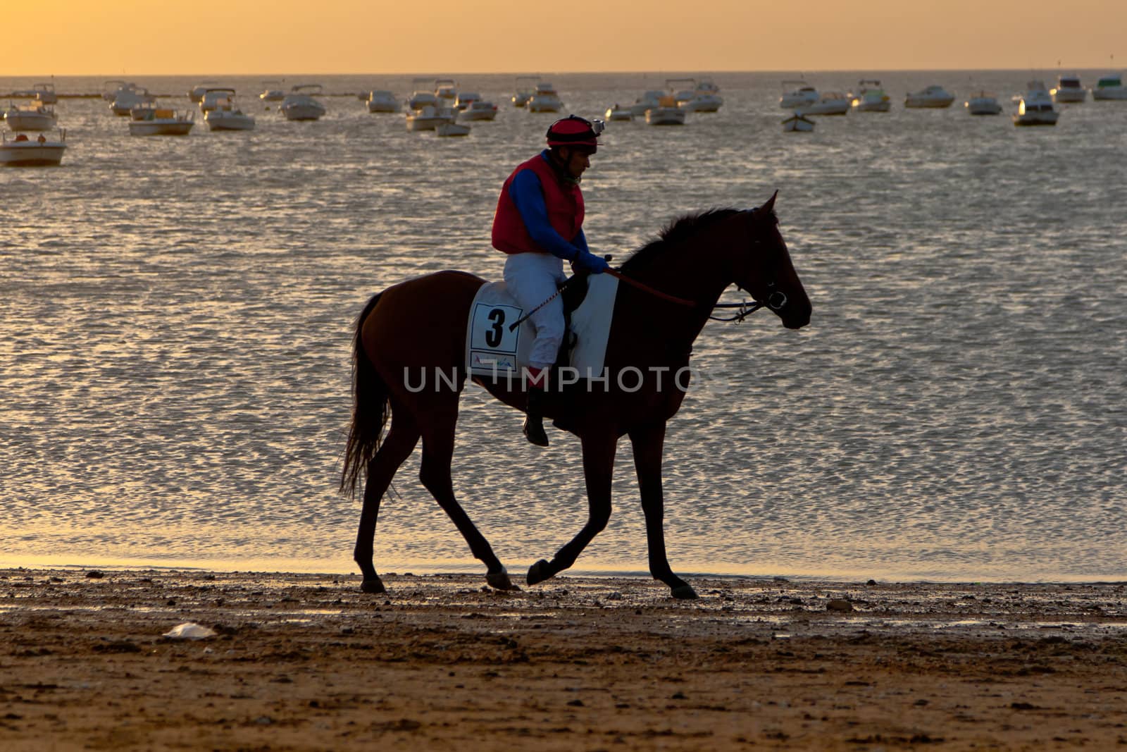 SANLUCAR DE BARRAMEDA, CADIZ, SPAIN - AUGUST 10: Unidentified riders at the start of race horses on Sanlucar de Barrameda beach on August 10, 2011 in Sanlucar de Barrameda, Cadiz, Spain.