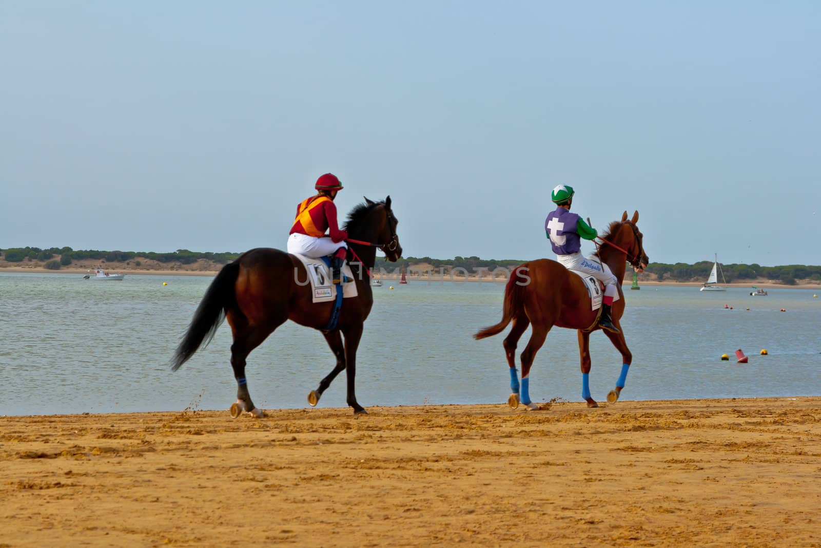 SANLUCAR DE BARRAMEDA, CADIZ, SPAIN - AUGUST 10: Unidentified rider at the start of race horses on Sanlucar de Barrameda beach on August 10, 2011 in Sanlucar de Barrameda, Cadiz, Spain.
