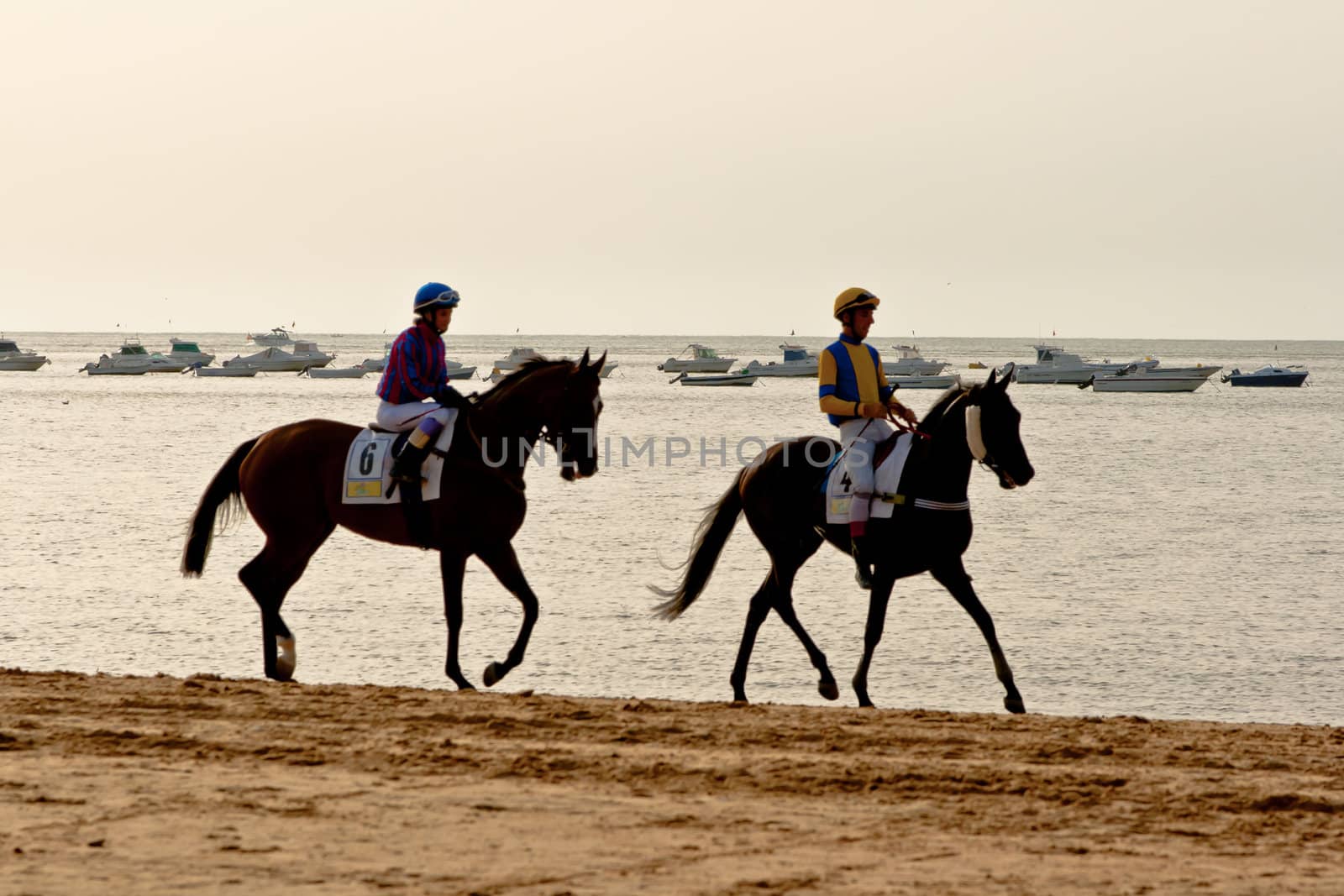 SANLUCAR DE BARRAMEDA, CADIZ, SPAIN - AUGUST 10: Unidentified rider at the start of race horses on Sanlucar de Barrameda beach on August 10, 2011 in Sanlucar de Barrameda, Cadiz, Spain.