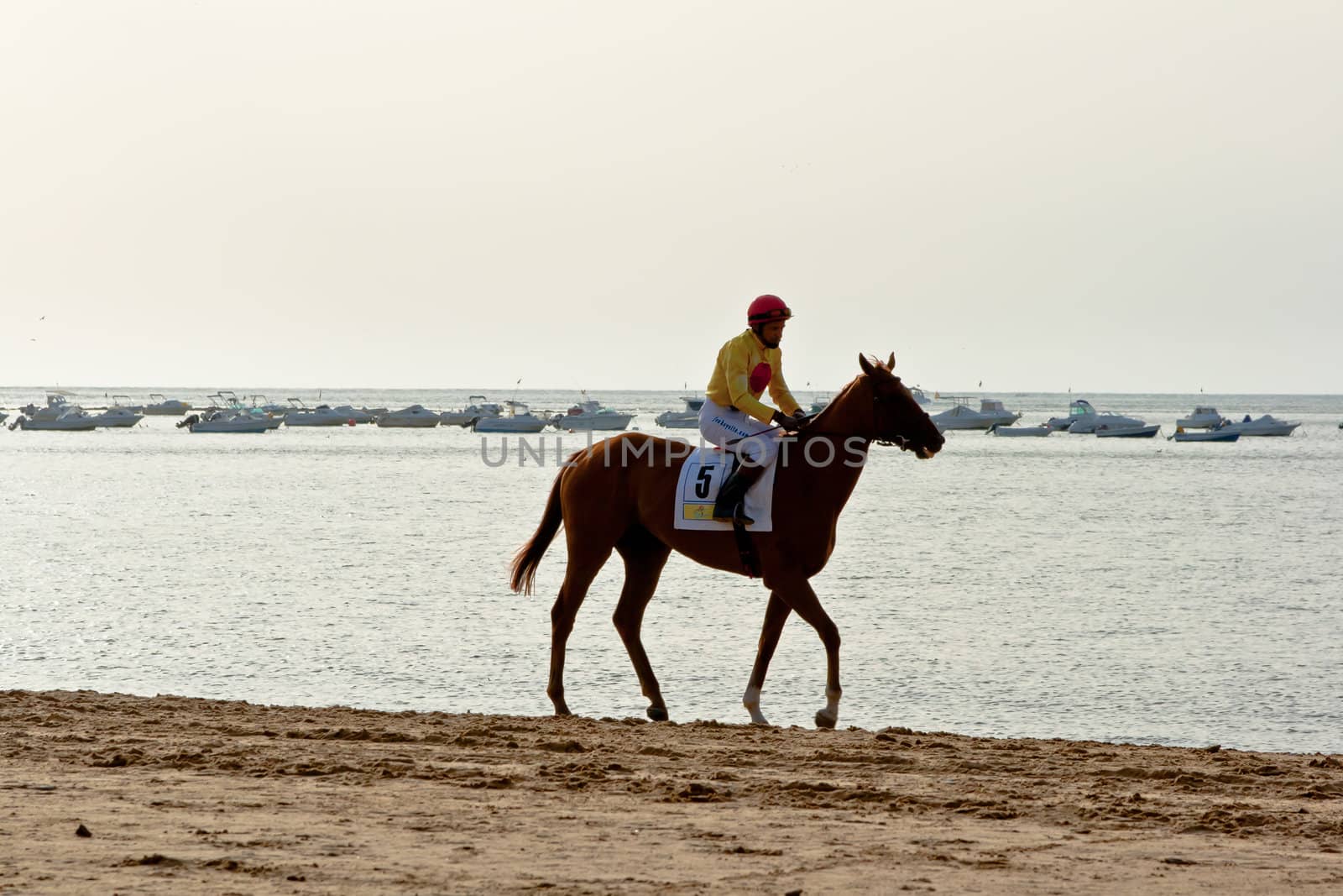 SANLUCAR DE BARRAMEDA, CADIZ, SPAIN - AUGUST 10: Unidentified rider at the start of race horses on Sanlucar de Barrameda beach on August 10, 2011 in Sanlucar de Barrameda, Cadiz, Spain.