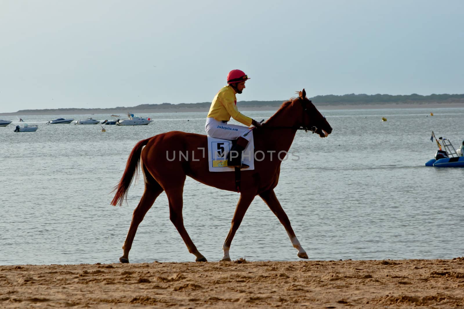 SANLUCAR DE BARRAMEDA, CADIZ, SPAIN - AUGUST 10: Unidentified rider at the start of race horses on Sanlucar de Barrameda beach on August 10, 2011 in Sanlucar de Barrameda, Cadiz, Spain.