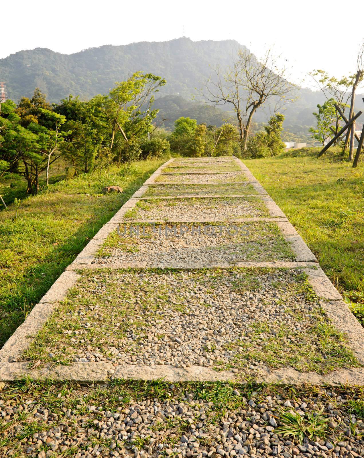 Path on hill in park in modern city in daytime with nobody.