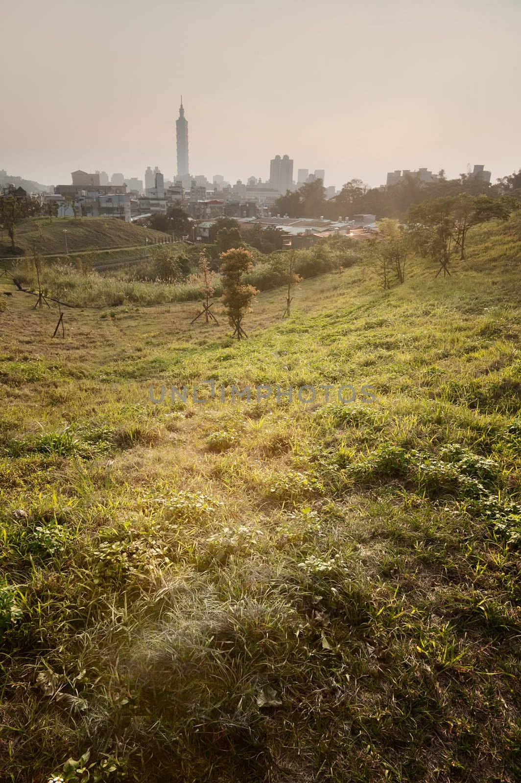 Cityscape with grassland in park and skyscraper far away in daytime in Taipei, Taiwan, Asia.