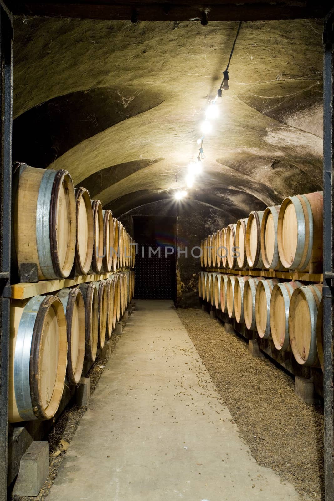 Chateau de Cary Potet (wine cellar), Buxy, Burgundy, France by phbcz