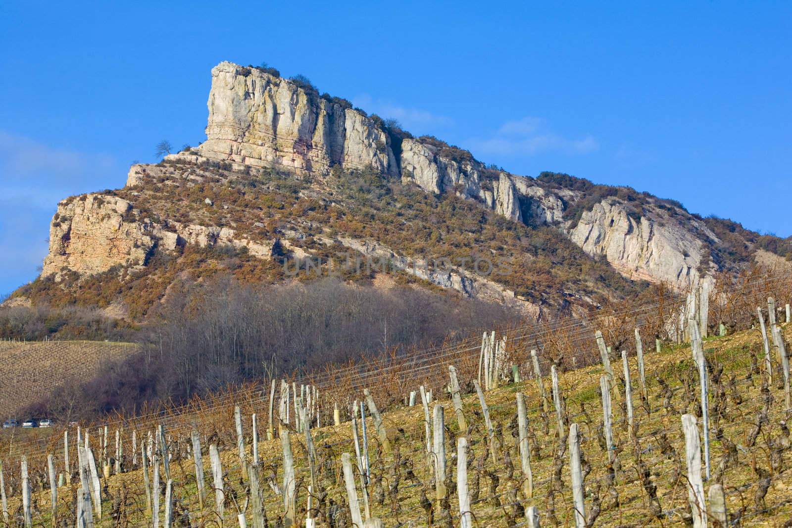 La Roche de Solutr� with vineyards, Burgundy, France