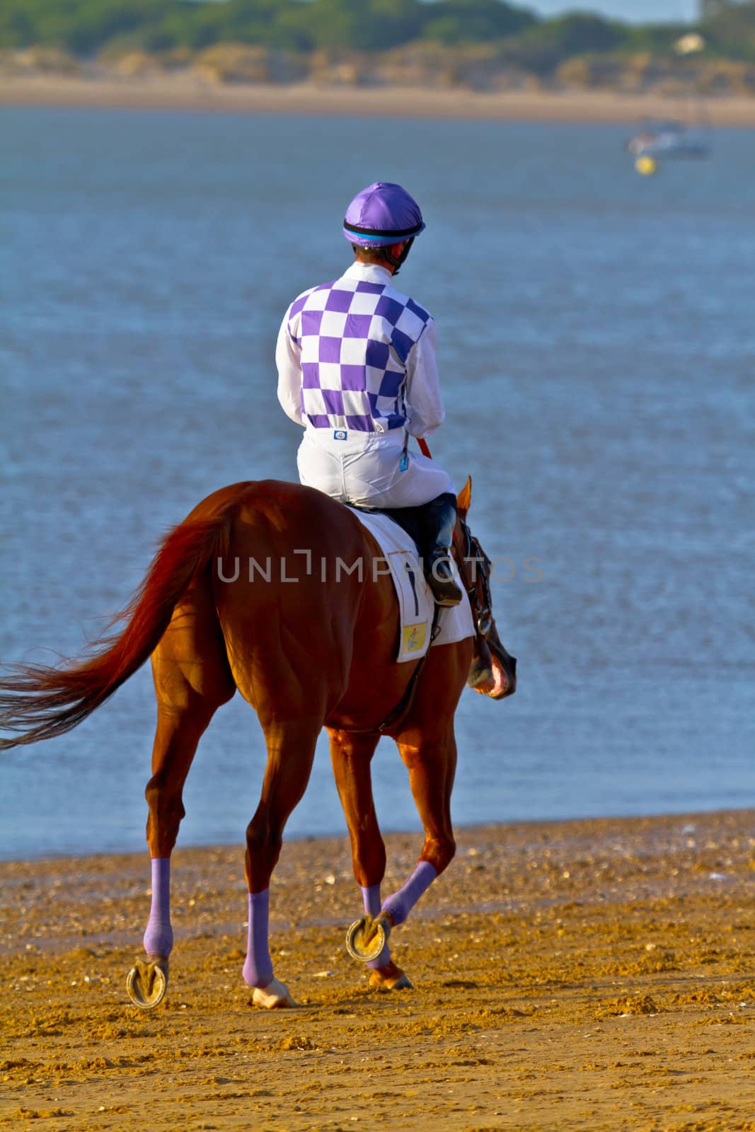 SANLUCAR DE BARRAMEDA, CADIZ, SPAIN - AUGUST 10: Unidentified riders at the start of race horses on Sanlucar de Barrameda beach on August 10, 2011 in Sanlucar de Barrameda, Cadiz, Spain.