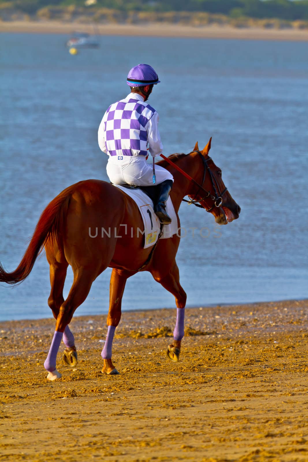 SANLUCAR DE BARRAMEDA, CADIZ, SPAIN - AUGUST 10: Unidentified riders at the start of race horses on Sanlucar de Barrameda beach on August 10, 2011 in Sanlucar de Barrameda, Cadiz, Spain.