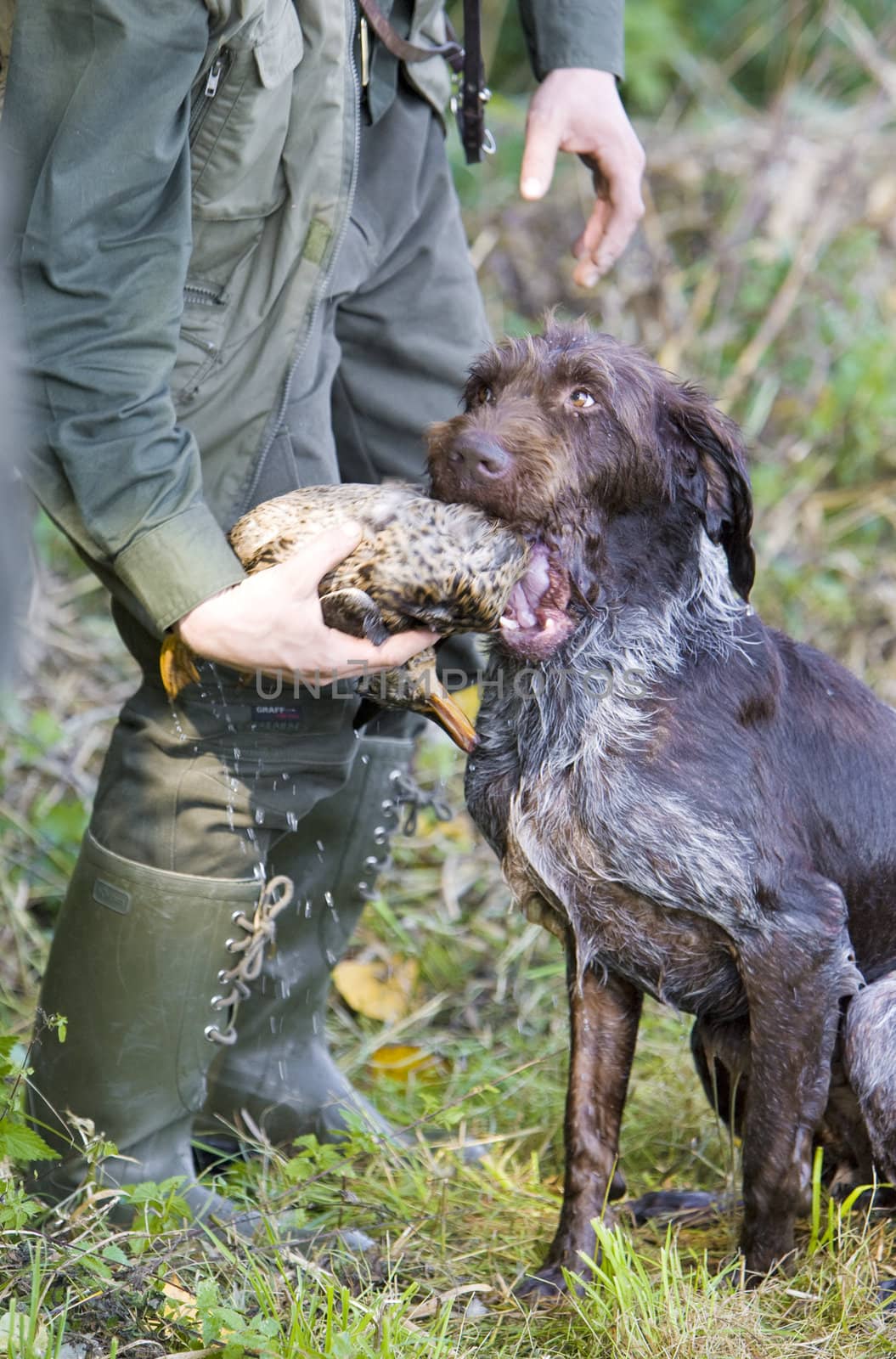 hunter on hunting