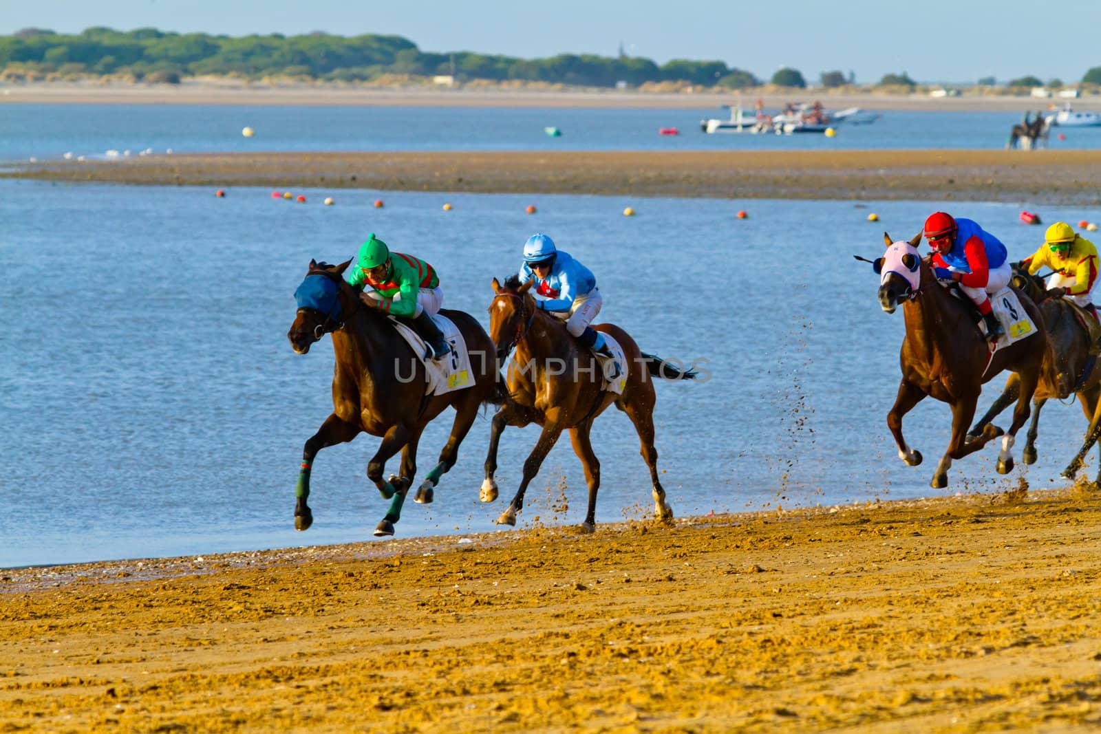 SANLUCAR DE BARRAMEDA, CADIZ, SPAIN - AUGUST 10: Unidentified riders at the start of race horses on Sanlucar de Barrameda beach on August 10, 2011 in Sanlucar de Barrameda, Cadiz, Spain.