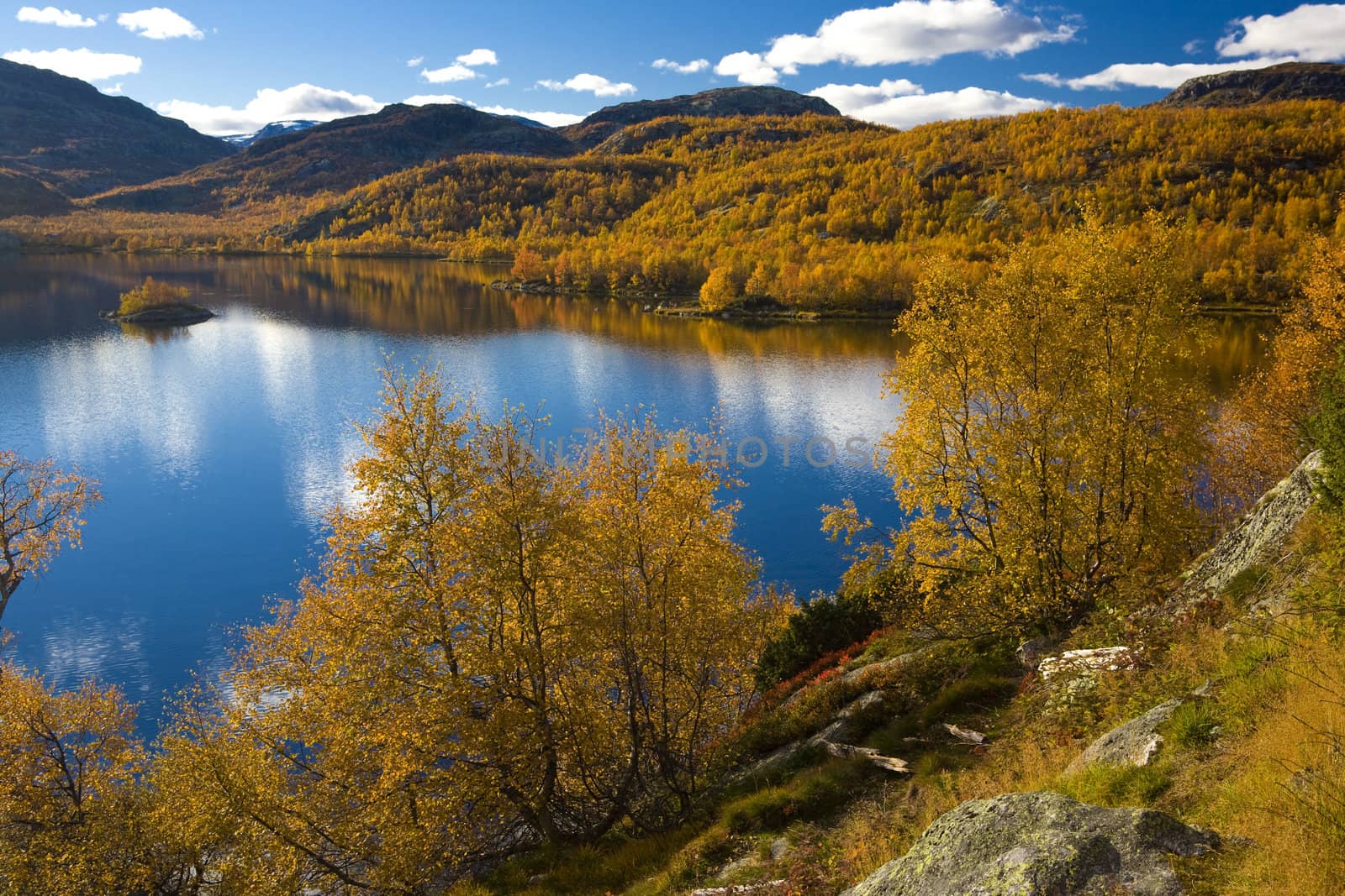 landscape of Southern Vestlandet, Norway