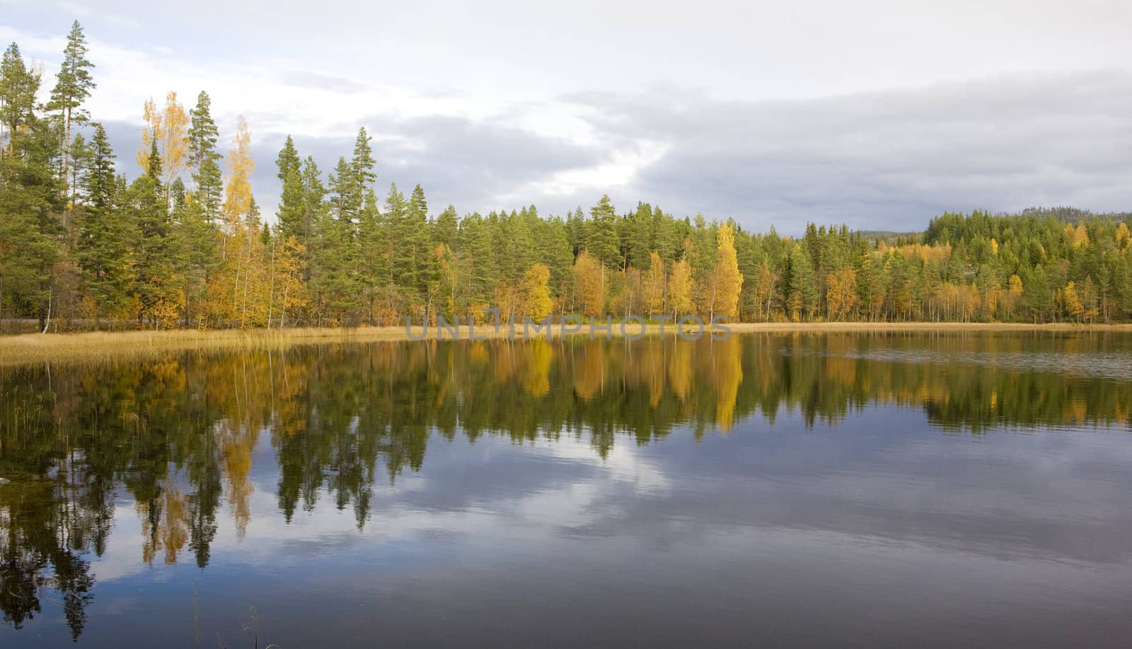 landscape near Nesbyen, Norway