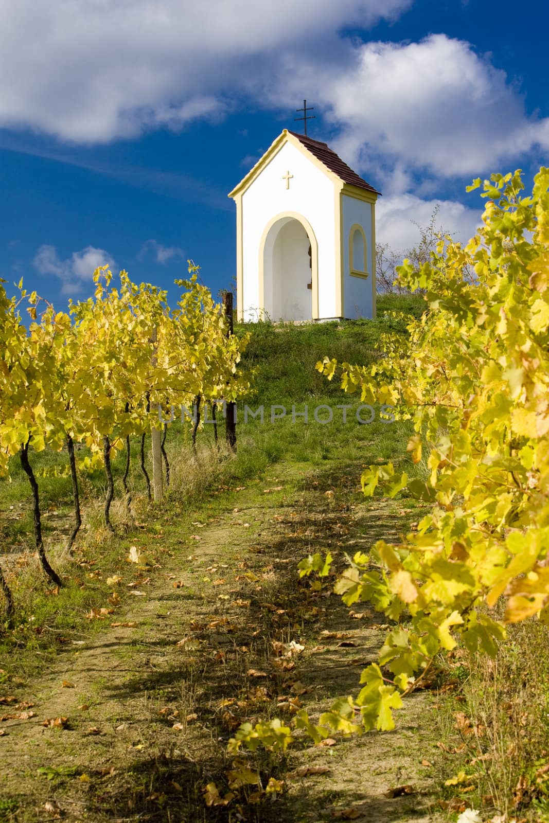 chapel near Hnanice, Znojmo Region, Czech Republic
