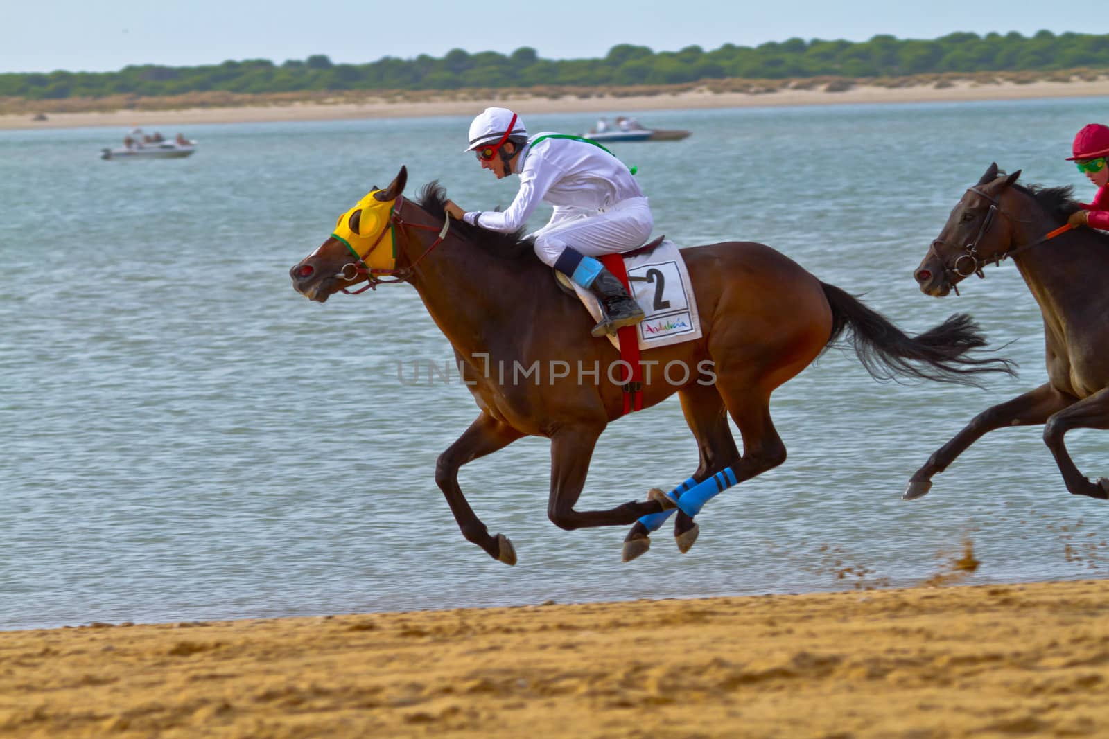 SANLUCAR DE BARRAMEDA, CADIZ, SPAIN - AUGUST 11: Unidentified rider at the start of race horses on Sanlucar de Barrameda beach on August 11, 2011 in Sanlucar de Barrameda, Cadiz, Spain.