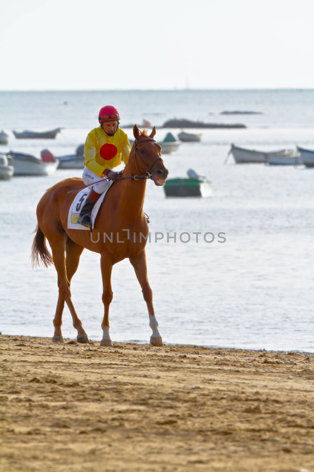 SANLUCAR DE BARRAMEDA, CADIZ, SPAIN - AUGUST 11: Unidentified rider at the start of race horses on Sanlucar de Barrameda beach on August 11, 2011 in Sanlucar de Barrameda, Cadiz, Spain.