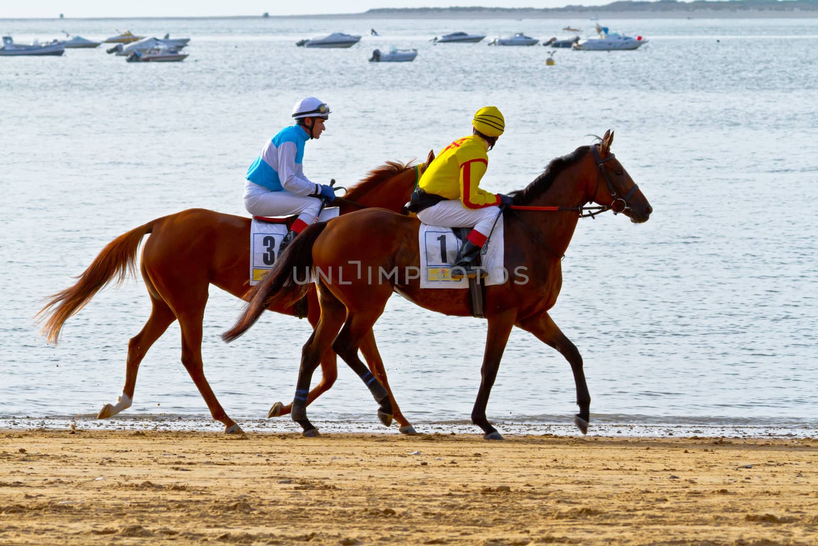 SANLUCAR DE BARRAMEDA, CADIZ, SPAIN - AUGUST 11: Unidentified rider at the start of race horses on Sanlucar de Barrameda beach on August 11, 2011 in Sanlucar de Barrameda, Cadiz, Spain.