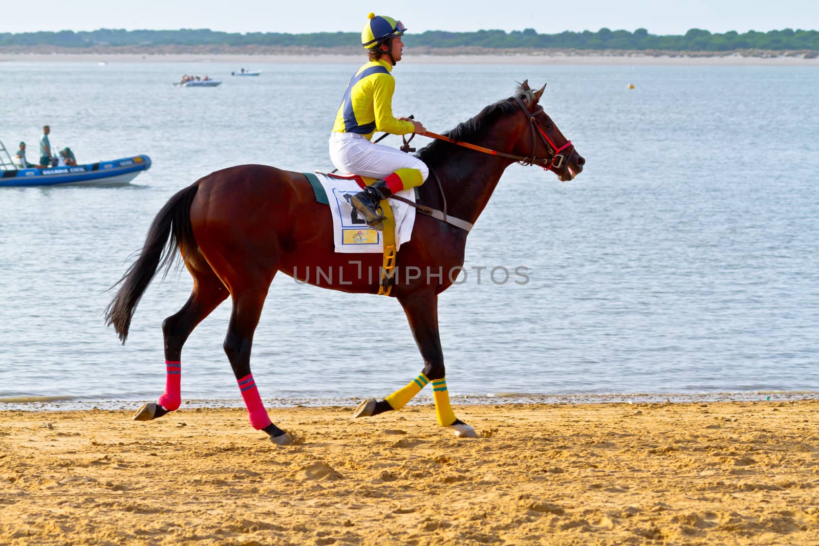 SANLUCAR DE BARRAMEDA, CADIZ, SPAIN - AUGUST 11: Unidentified rider at the start of race horses on Sanlucar de Barrameda beach on August 11, 2011 in Sanlucar de Barrameda, Cadiz, Spain.