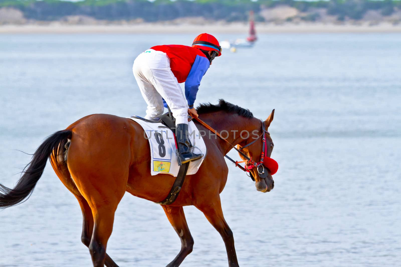 SANLUCAR DE BARRAMEDA, CADIZ, SPAIN - AUGUST 11: Unidentified rider at the start of race horses on Sanlucar de Barrameda beach on August 11, 2011 in Sanlucar de Barrameda, Cadiz, Spain.