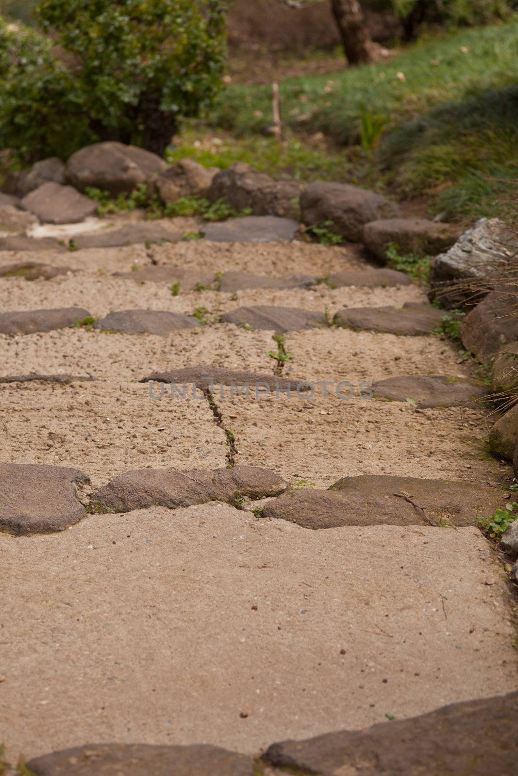 Paths made of stone in traditional Japanese garden