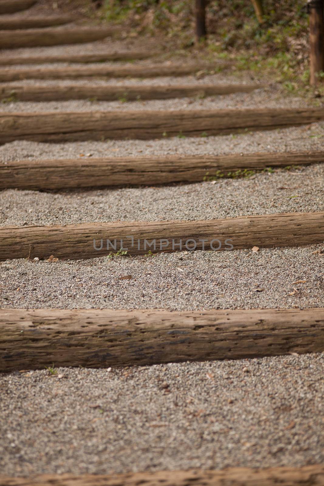 Paths made of stone in traditional Japanese garden