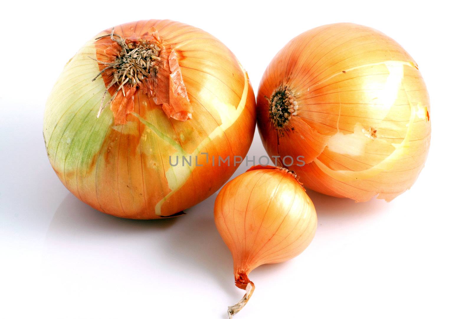 Image series of fresh vegetables on white background - onion