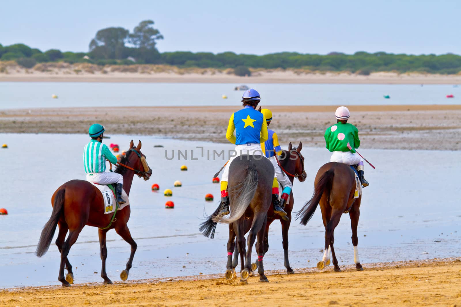 SANLUCAR DE BARRAMEDA, CADIZ, SPAIN - AUGUST 11: Unidentified rider at the start of race horses on Sanlucar de Barrameda beach on August 11, 2011 in Sanlucar de Barrameda, Cadiz, Spain.