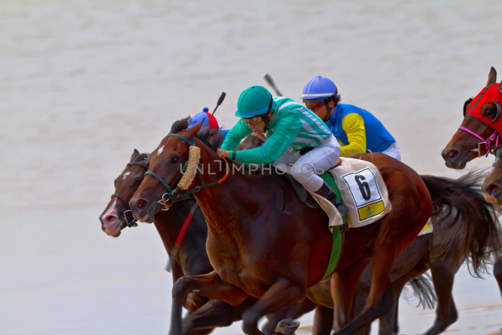 SANLUCAR DE BARRAMEDA, CADIZ, SPAIN - AUGUST 11: Unidentified riders race horses on Sanlucar de Barrameda beach on August 11, 2011 in Sanlucar de Barrameda, Cadiz, Spain.
