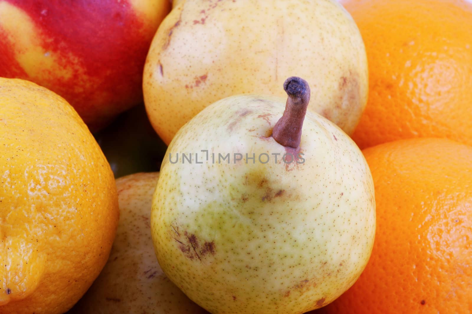 Colorful fresh group of fruits
