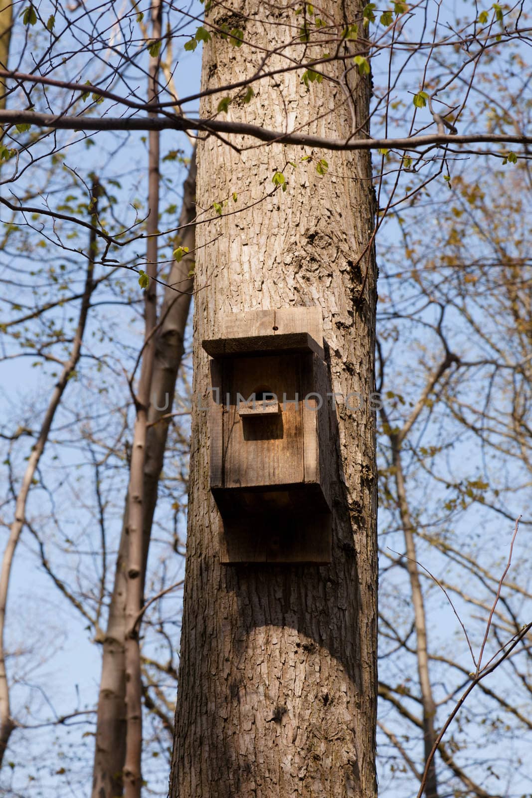 Nest box on a tree in a public park.