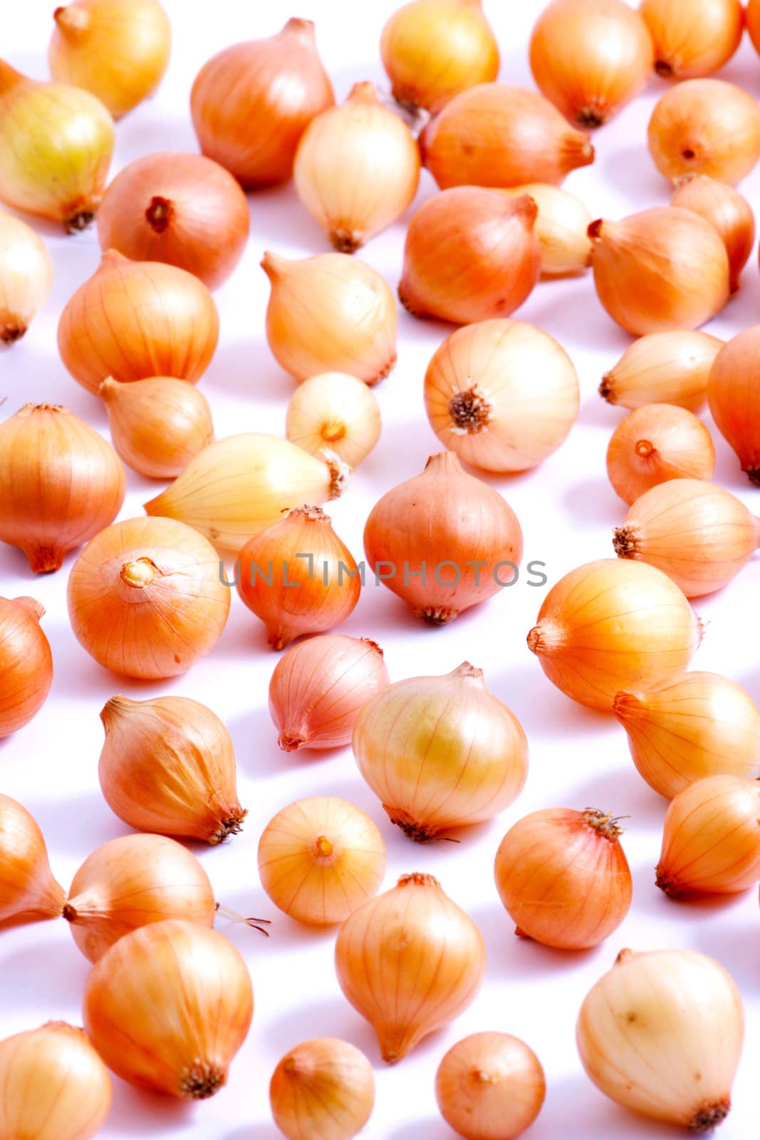 Image series of fresh vegetables on white background - onion