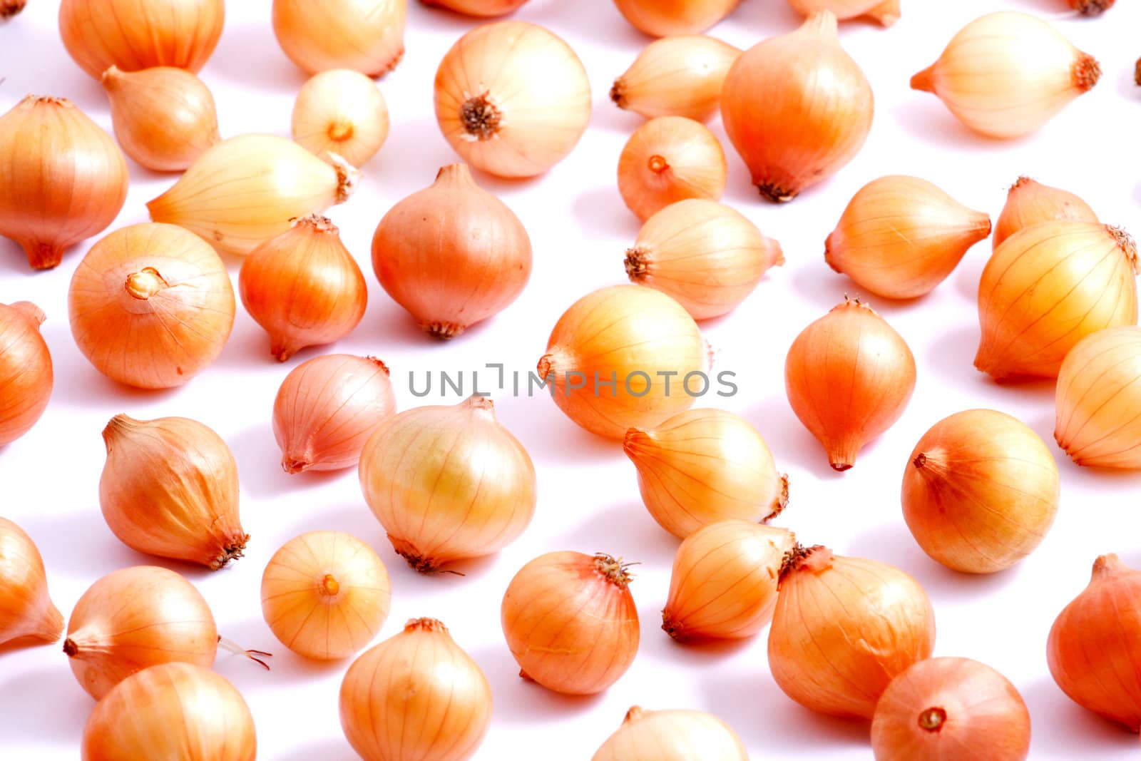 Image series of fresh vegetables on white background - onion