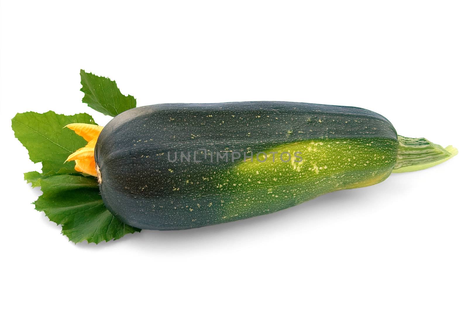 Green squash with yellow spots, green leaf and yellow flower isolated on white background