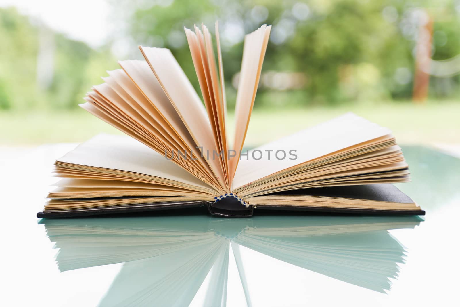 Open book over a light nature background