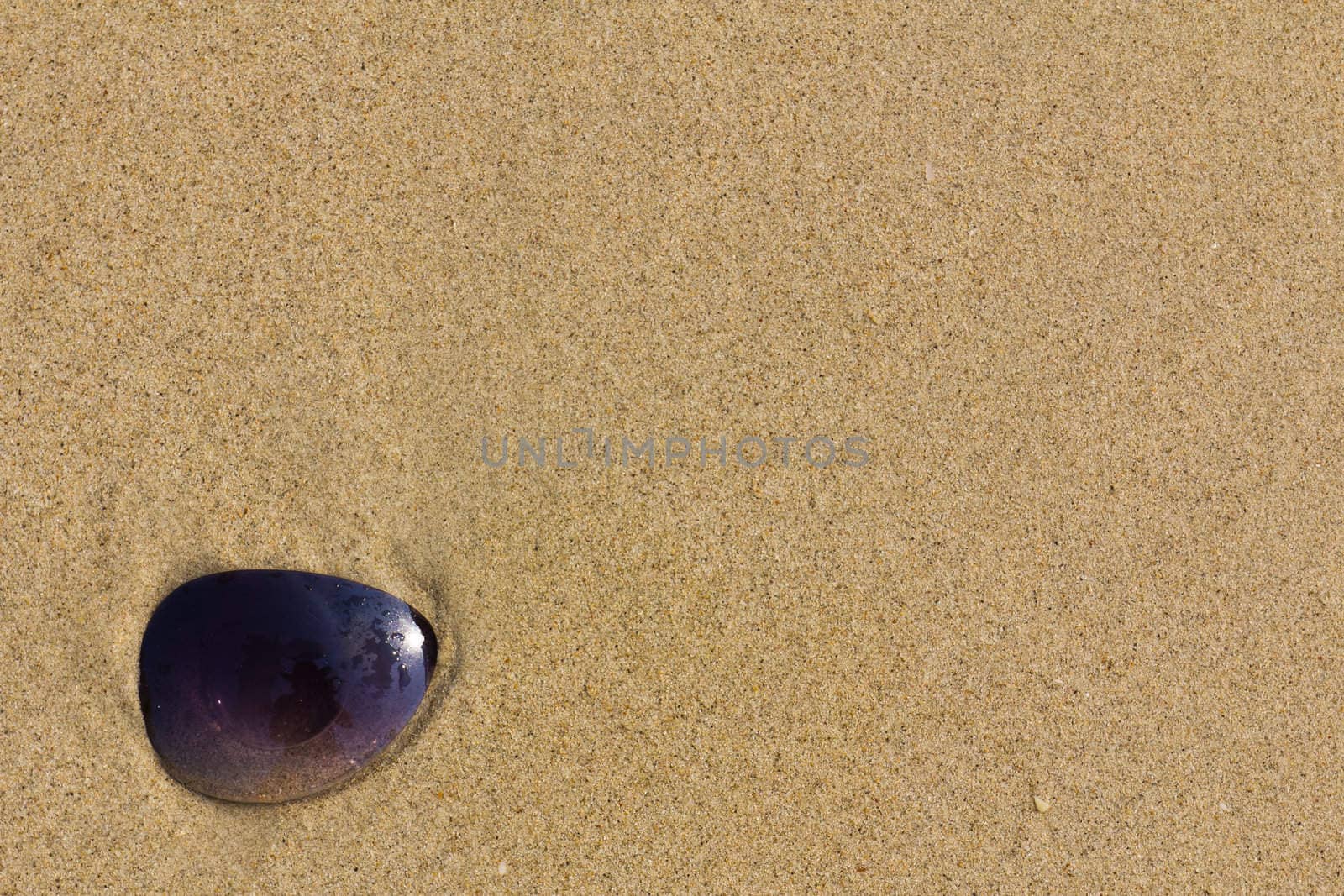 Sunglass  items on beach a sunny pile of sand