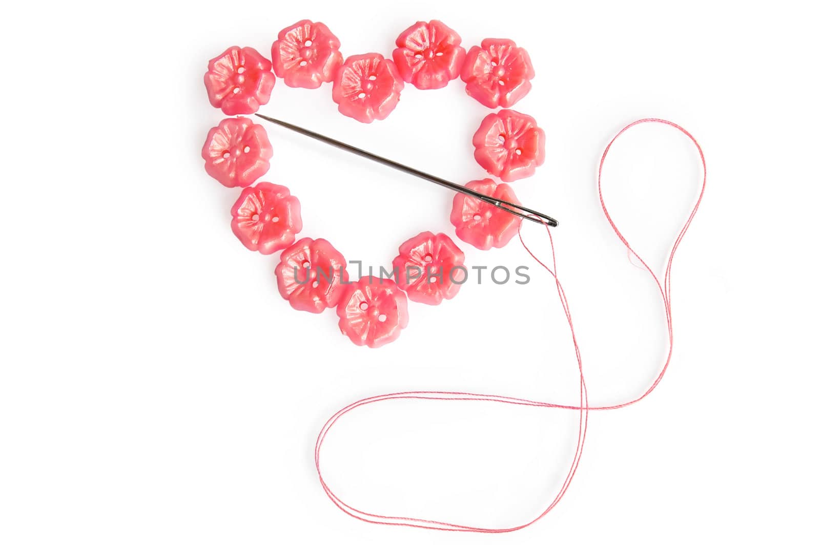 Heart of the pink buttons with needle and pink thread isolated on white background