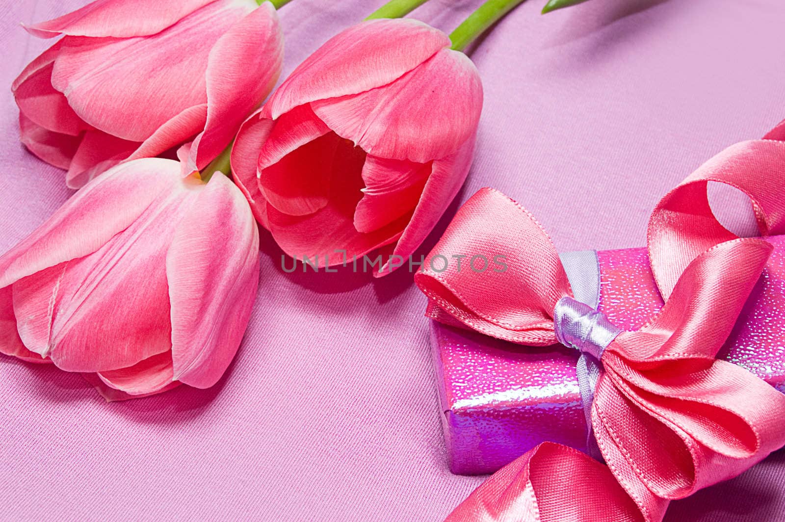 Tulips and gift box by Angel_a