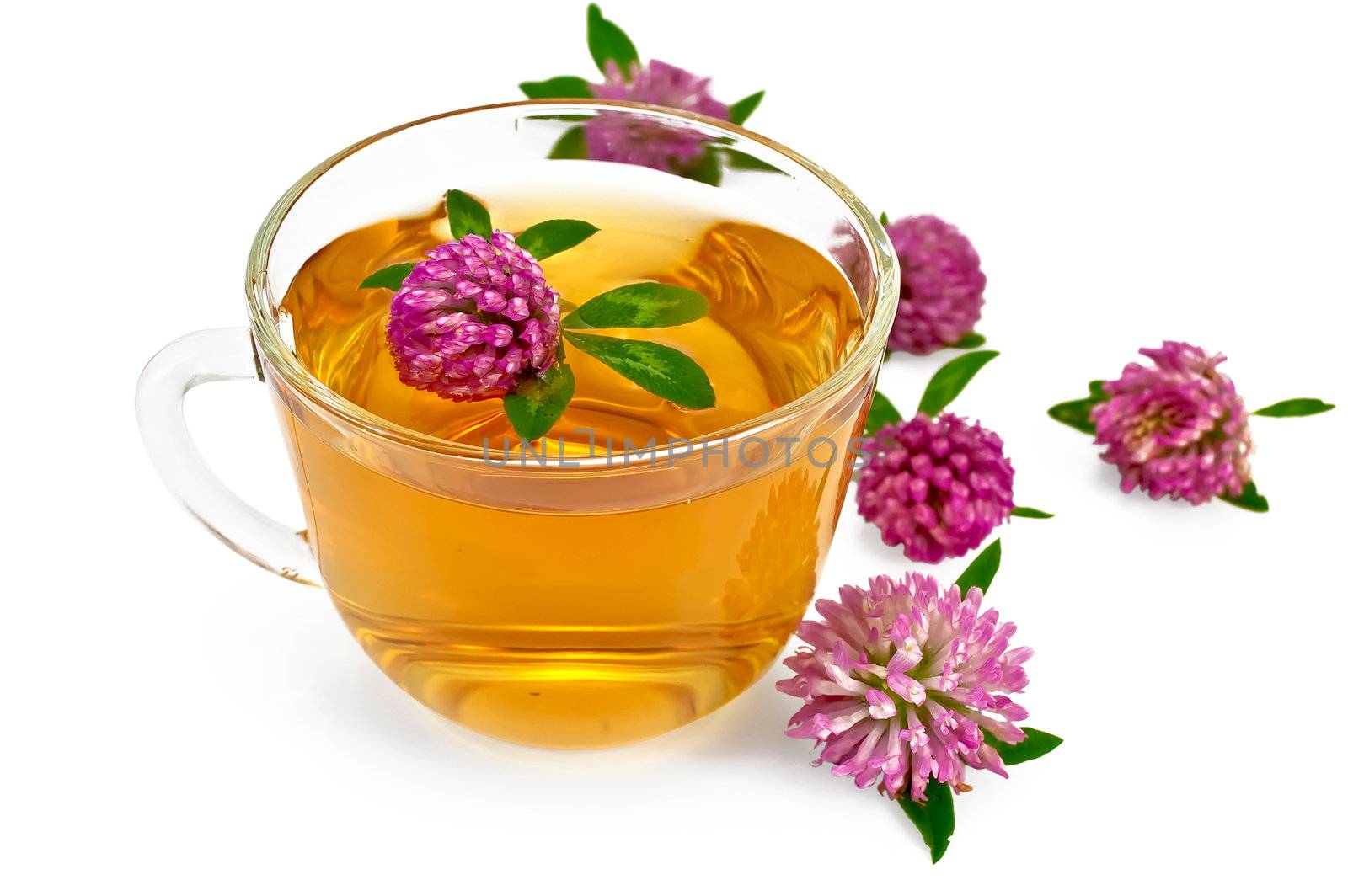 Herbal teas with clover in a glass bowl, flowers of clover isolated on white background