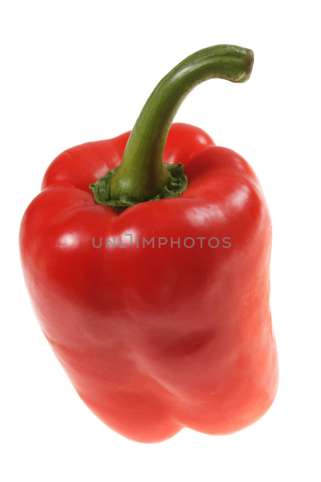 red paprica, photo on the white background