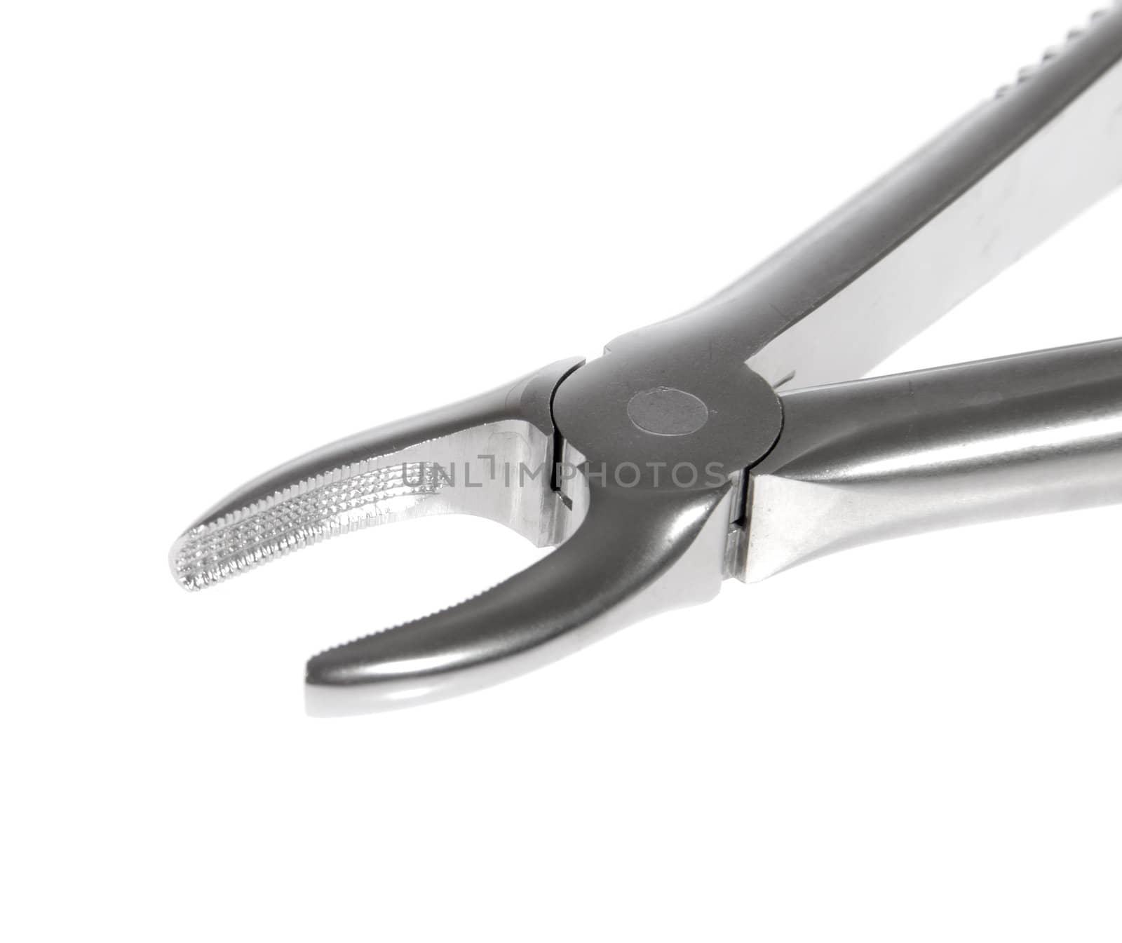 Dental pliers, photo on the white background