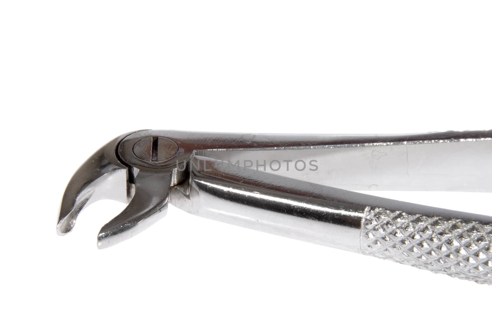Dental pliers, photo on white background