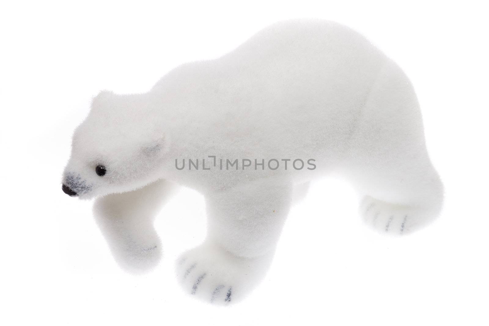 toy - polar bear, photo on the white background
