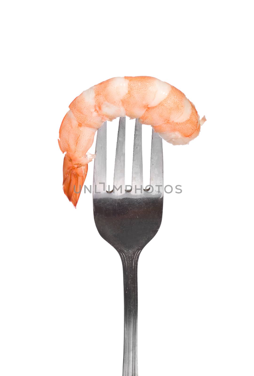 Shrimp on fork, photo on the white background