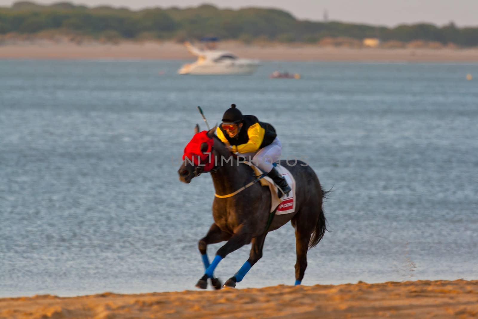 SANLUCAR DE BARRAMEDA, CADIZ, SPAIN - AUGUST 07: Unidentified rider race horses on Sanlucar de Barrameda beach on August 28, 2008 in Sanlucar de Barrameda, Cadiz, Spain.