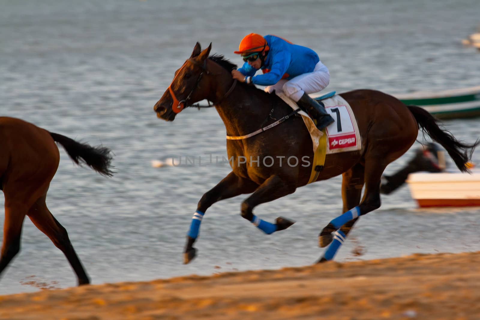 SANLUCAR DE BARRAMEDA, CADIZ, SPAIN - AUGUST 07: Unidentified rider race horses on Sanlucar de Barrameda beach on August 28, 2008 in Sanlucar de Barrameda, Cadiz, Spain.