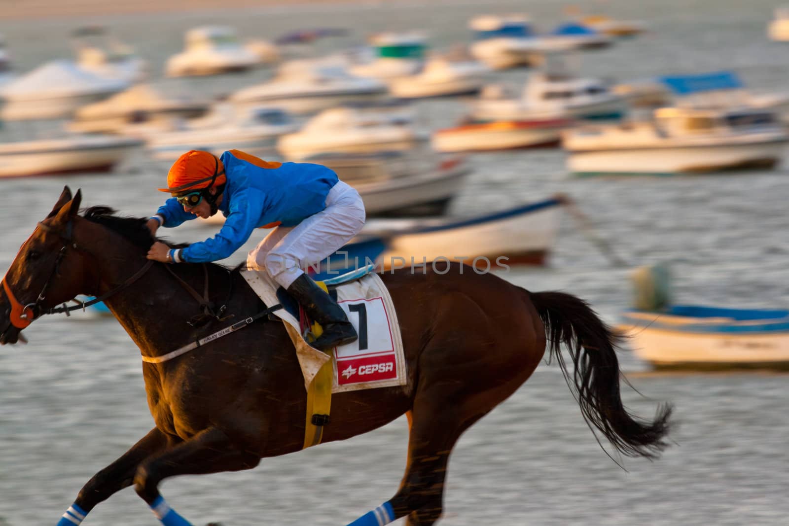 SANLUCAR DE BARRAMEDA, CADIZ, SPAIN - AUGUST 07: Unidentified rider race horses on Sanlucar de Barrameda beach on August 28, 2008 in Sanlucar de Barrameda, Cadiz, Spain.