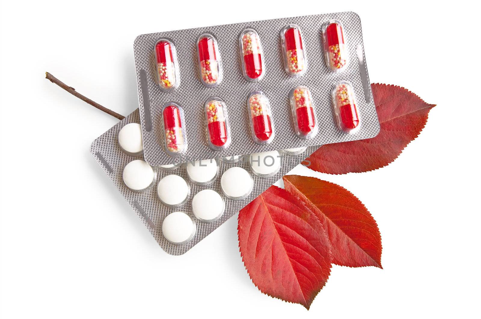 White round pill, red capsules in packs, with a sprig of red leaves irgi isolated on a white background