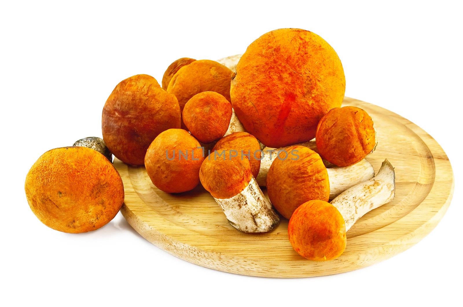 Orange aspen mushrooms on a round board isolated on white background