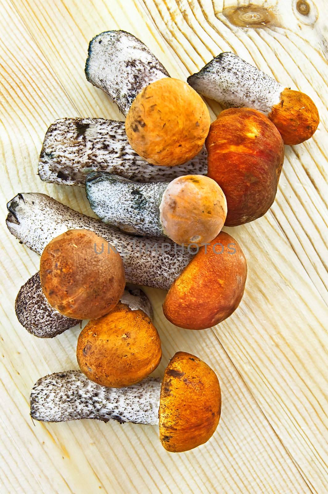 Pile of orange mushrooms on the background light wooden boards