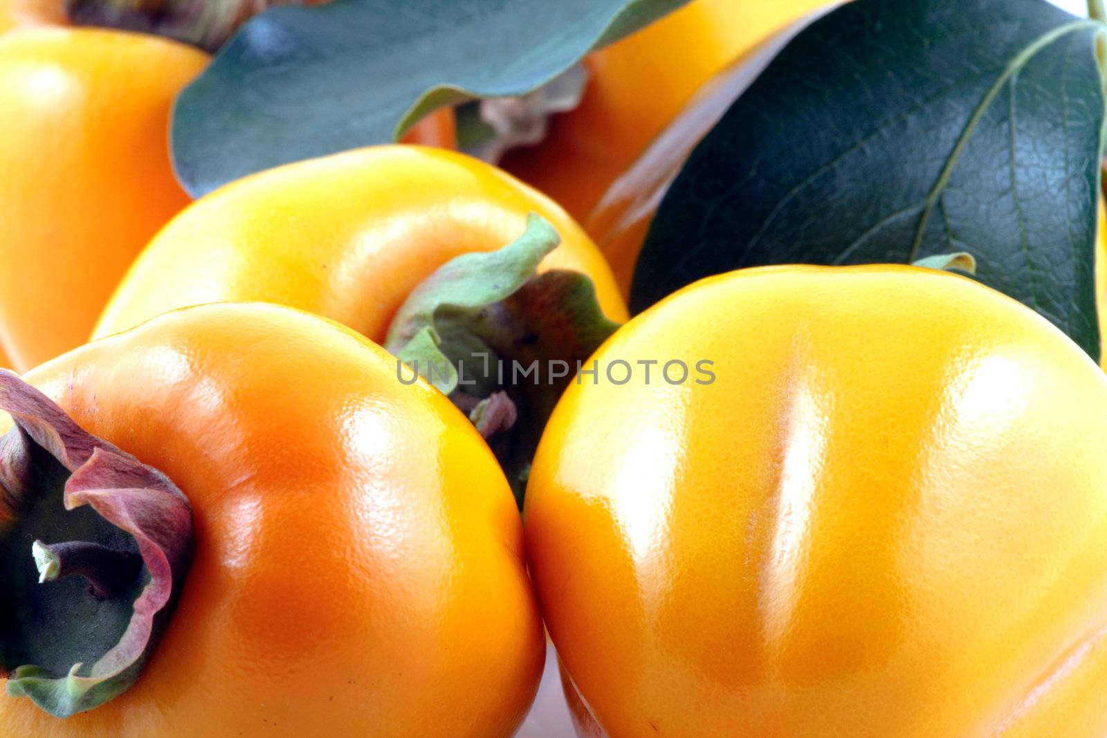 Persimmon