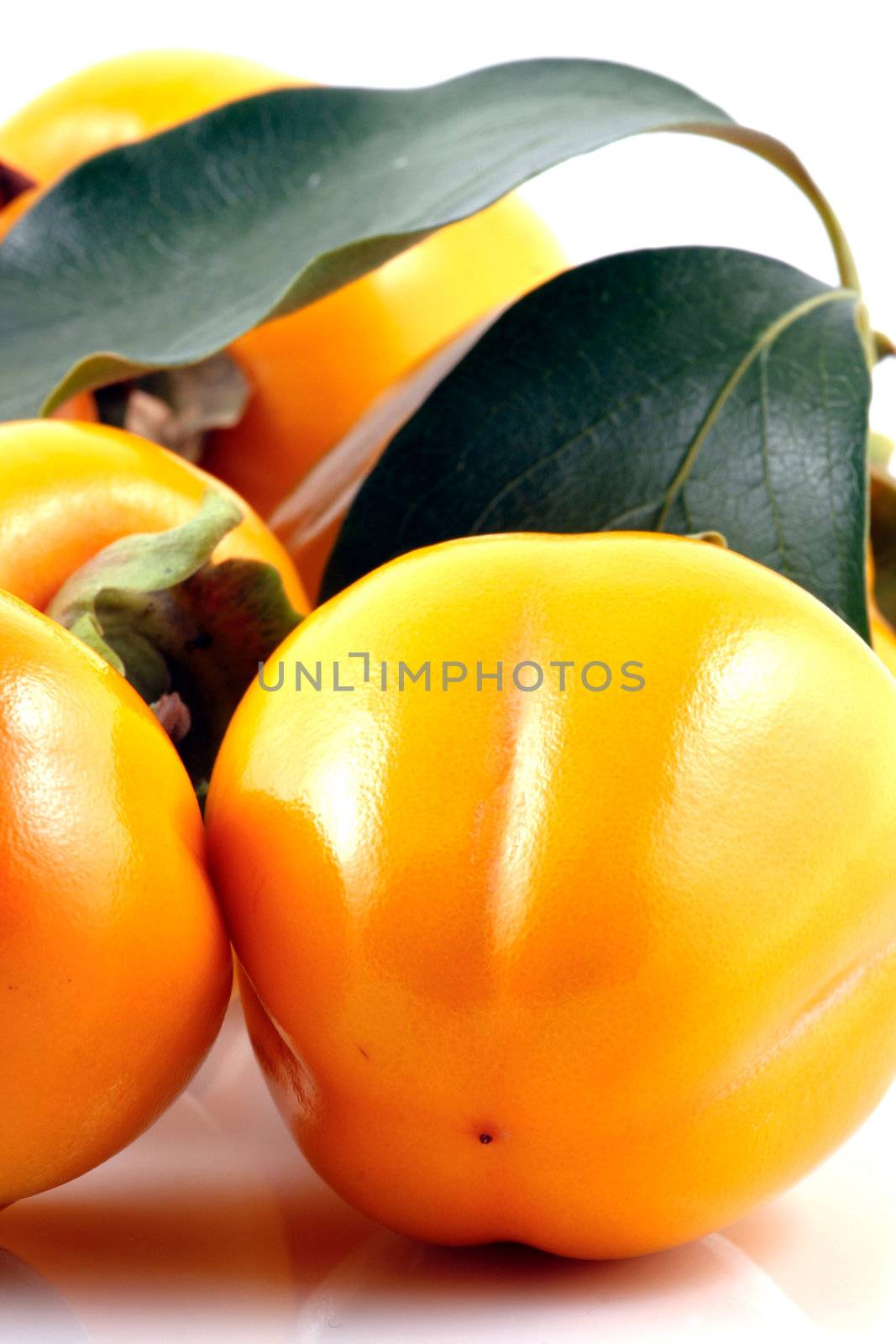 Persimmon